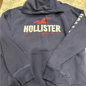 Hollister Men's Navy and Red Hoodie